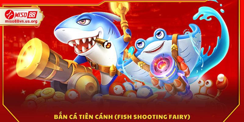 Hệ thống hoàn tiền theo tỷ lệ hấp dẫn