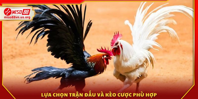 Chọn trận đấu mong muốn và xác định loại kèo