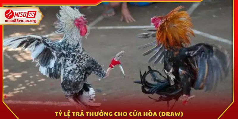 Những hình thức kèo được người chơi lựa chọn