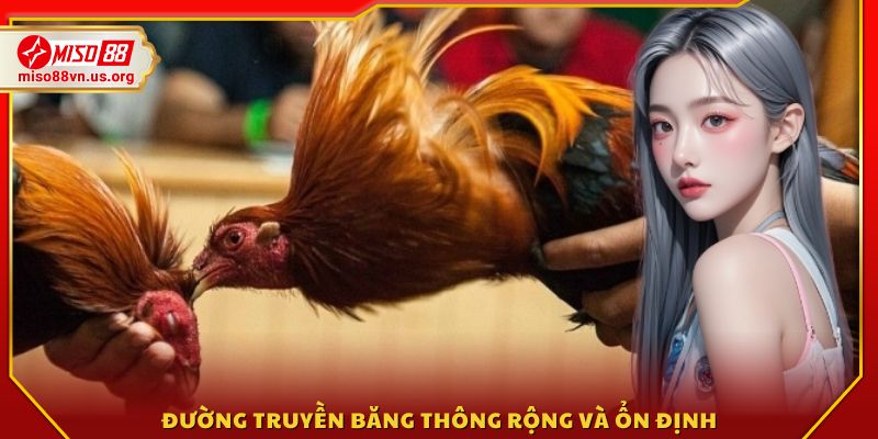 Ứng dụng công nghệ truyền phát tiên tiến
